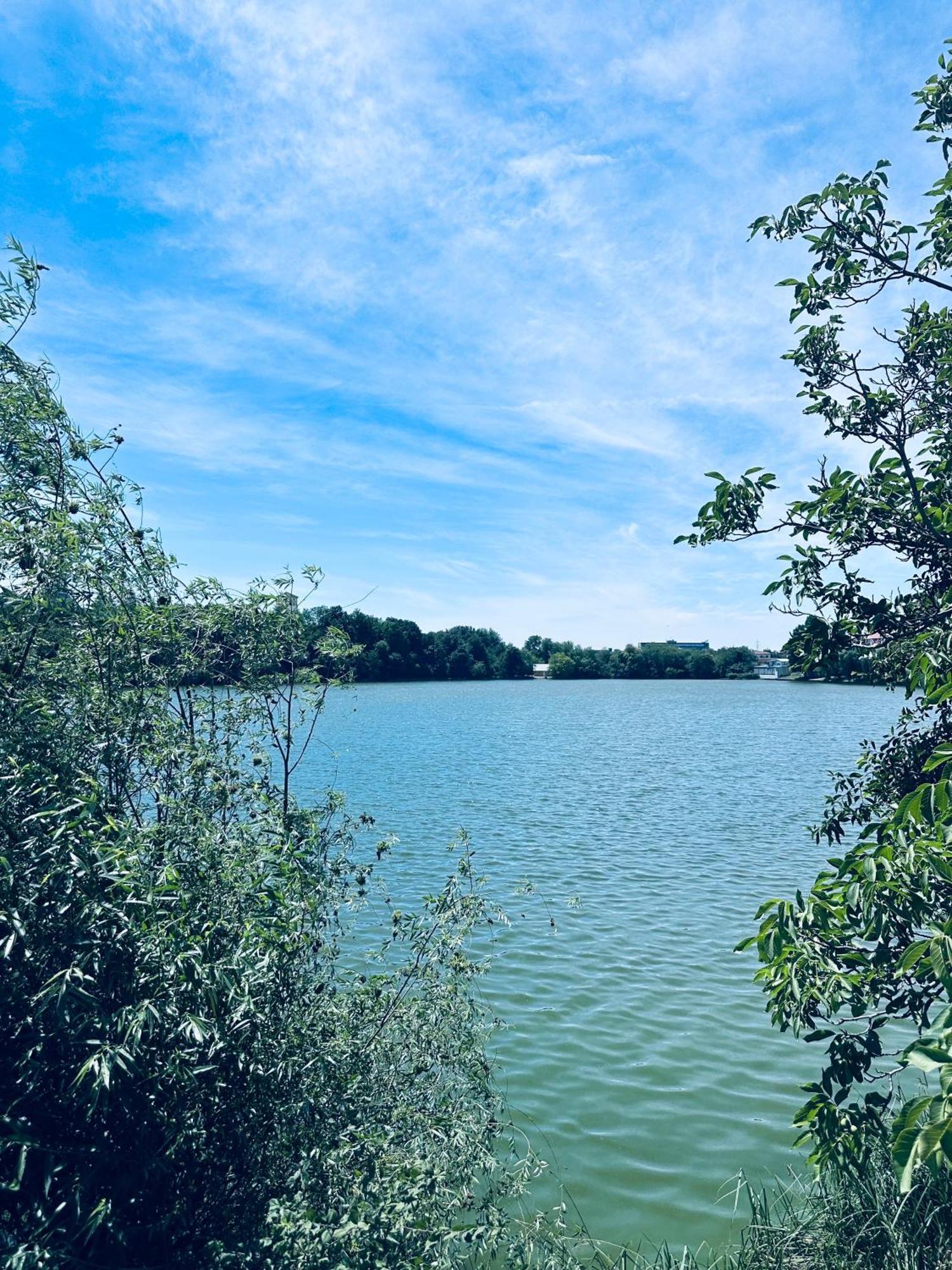In Regim בוקרשט